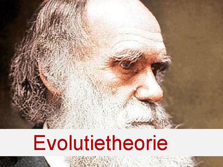 Evolutietheorie 