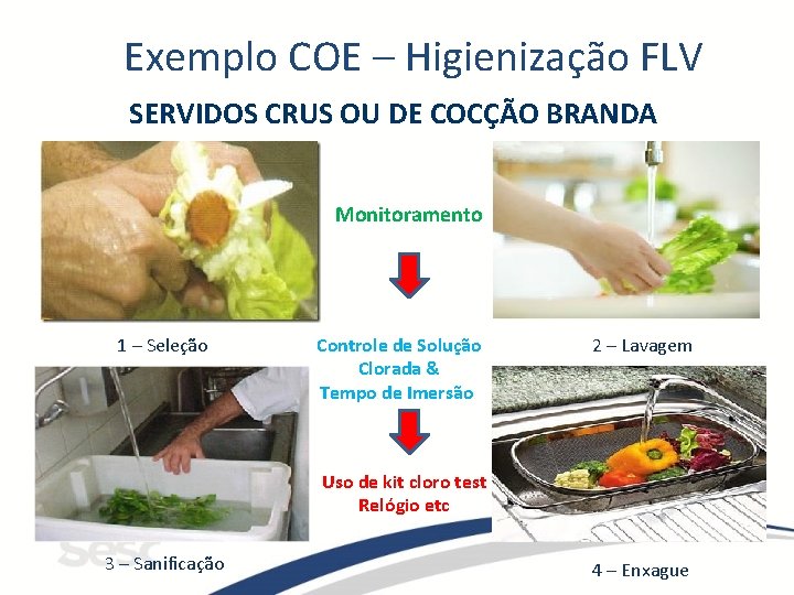 Exemplo COE – Higienização FLV SERVIDOS CRUS OU DE COCÇÃO BRANDA Monitoramento 1 –