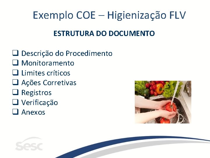 Exemplo COE – Higienização FLV ESTRUTURA DO DOCUMENTO q Descrição do Procedimento q Monitoramento
