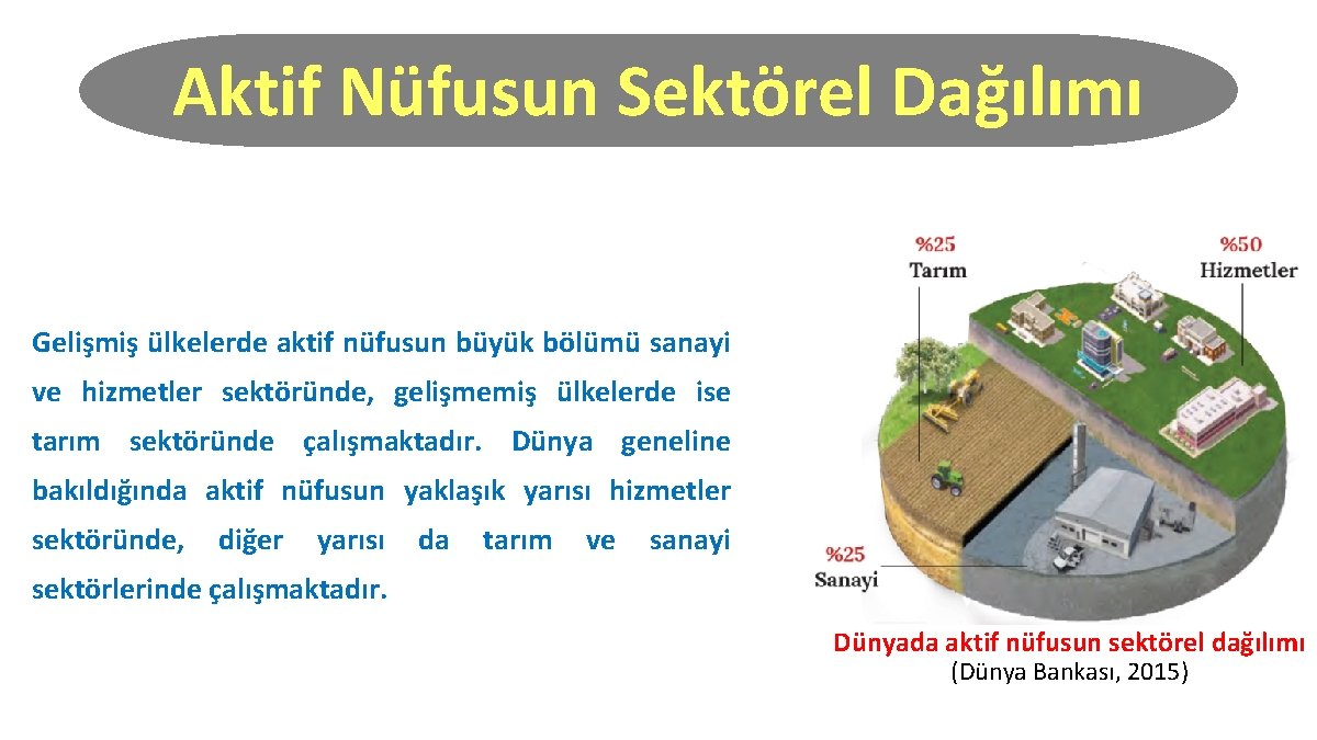 Aktif Nüfusun Sektörel Dağılımı Gelişmiş ülkelerde aktif nüfusun büyük bölümü sanayi ve hizmetler sektöründe,