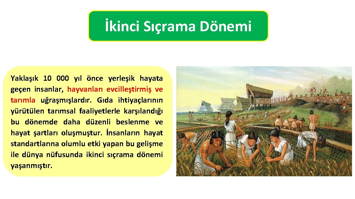 İkinci Sıçrama Dönemi Yaklaşık 10 000 yıl önce yerleşik hayata geçen insanlar, hayvanları evcilleştirmiş