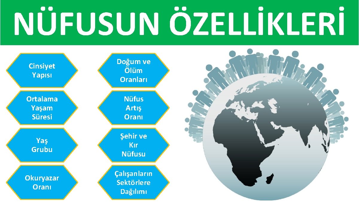 NÜFUSUN ÖZELLİKLERİ Cinsiyet Yapısı Doğum ve Ölüm Oranları Ortalama Yaşam Süresi Nüfus Artış Oranı