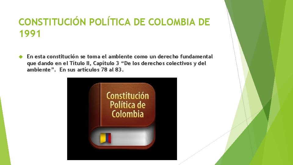 CONSTITUCIÓN POLÍTICA DE COLOMBIA DE 1991 En esta constitución se toma el ambiente como