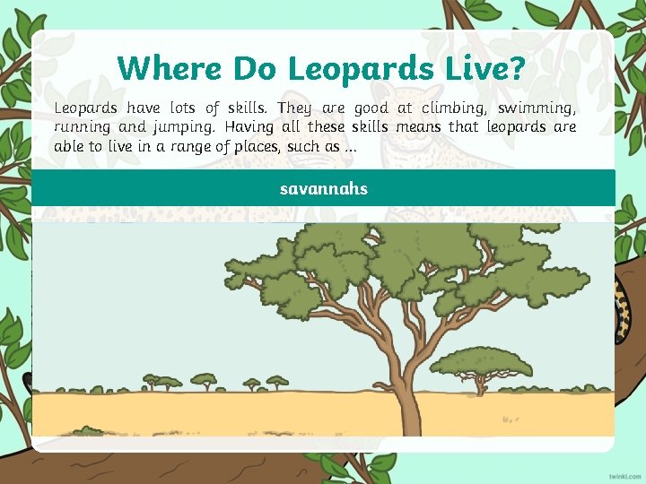 Where Do Leopards Live? Leopards have lots of skills. They are good at climbing, Where Do Leopards Live? Leopards have lots of skills. They are good at climbing,