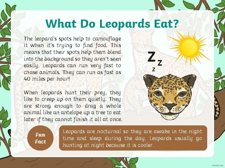 What Do Leopards Eat? The leopard’s spots help to camouflage it when it’s trying What Do Leopards Eat? The leopard’s spots help to camouflage it when it’s trying