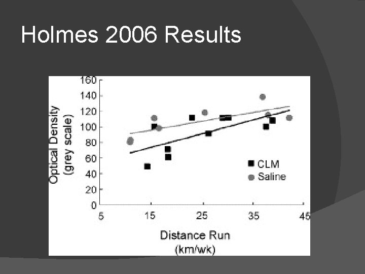 Holmes 2006 Results 