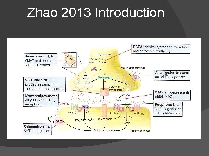 Zhao 2013 Introduction 