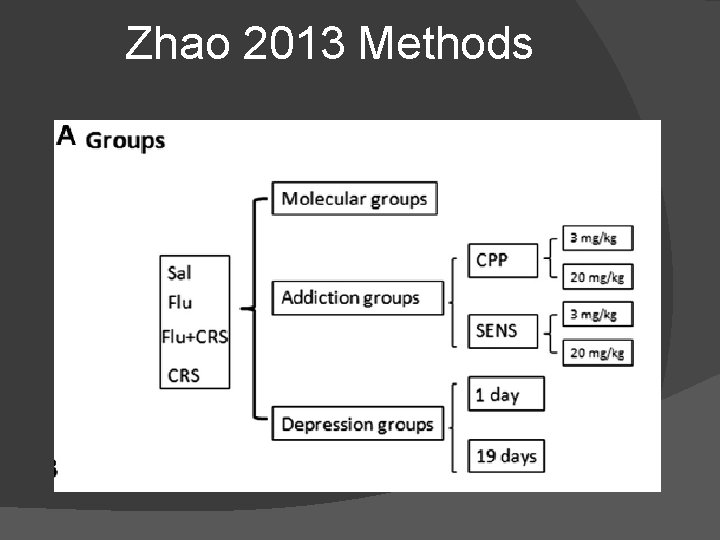 Zhao 2013 Methods 