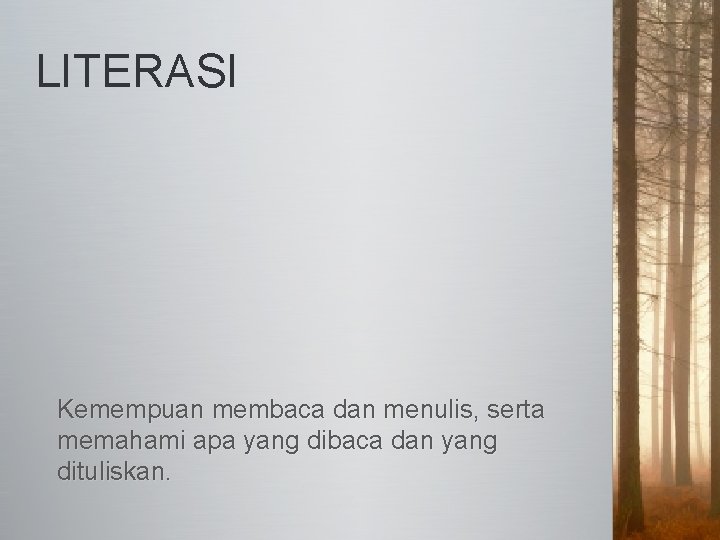 LITERASI Kemempuan membaca dan menulis, serta memahami apa yang dibaca dan yang dituliskan. 