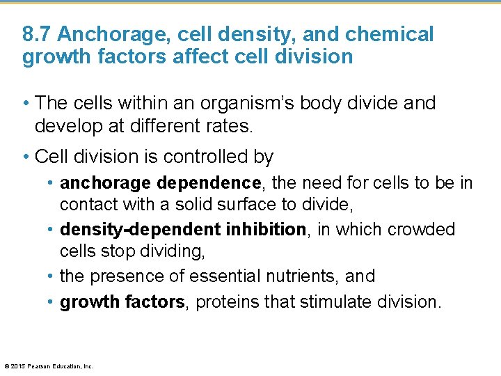 8. 7 Anchorage, cell density, and chemical growth factors affect cell division • The