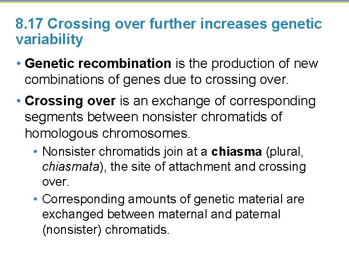 8. 17 Crossing over further increases genetic variability • Genetic recombination is the production