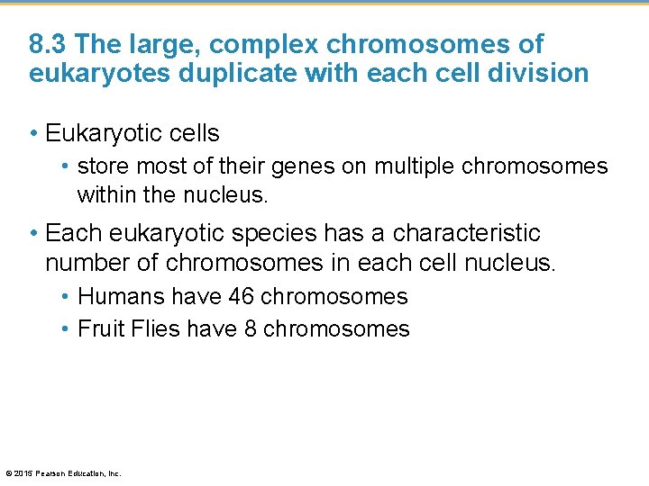 8. 3 The large, complex chromosomes of eukaryotes duplicate with each cell division •
