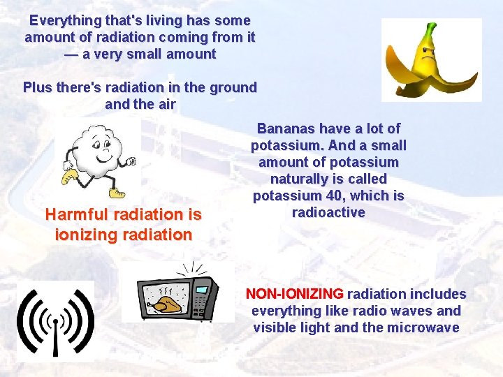 Everything that's living has some amount of radiation coming from it — a very