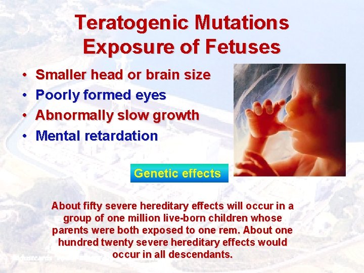 Teratogenic Mutations Exposure of Fetuses • • Smaller head or brain size Poorly formed