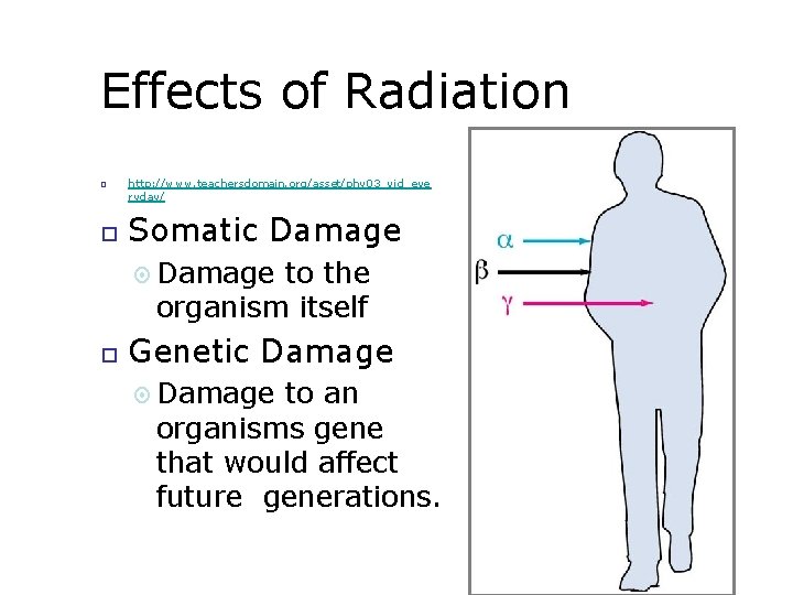 Effects of Radiation http: //www. teachersdomain. org/asset/phy 03_vid_eve ryday/ Somatic Damage to the organism