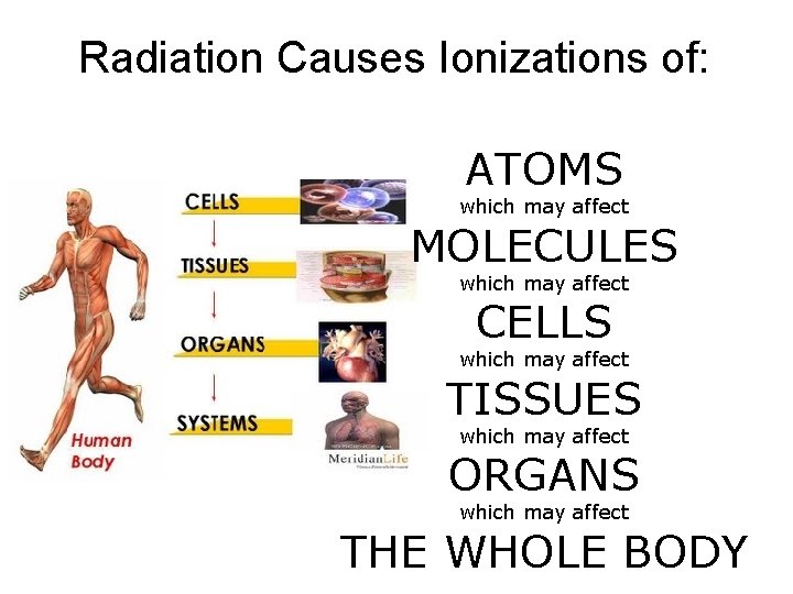 Radiation Causes Ionizations of: ATOMS which may affect MOLECULES which may affect CELLS which
