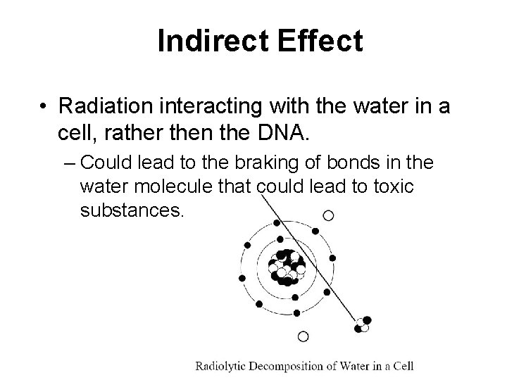 Indirect Effect • Radiation interacting with the water in a cell, rather then the