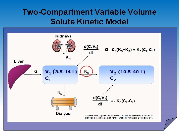 Two-Compartment Variable Volume Solute Kinetic Model 