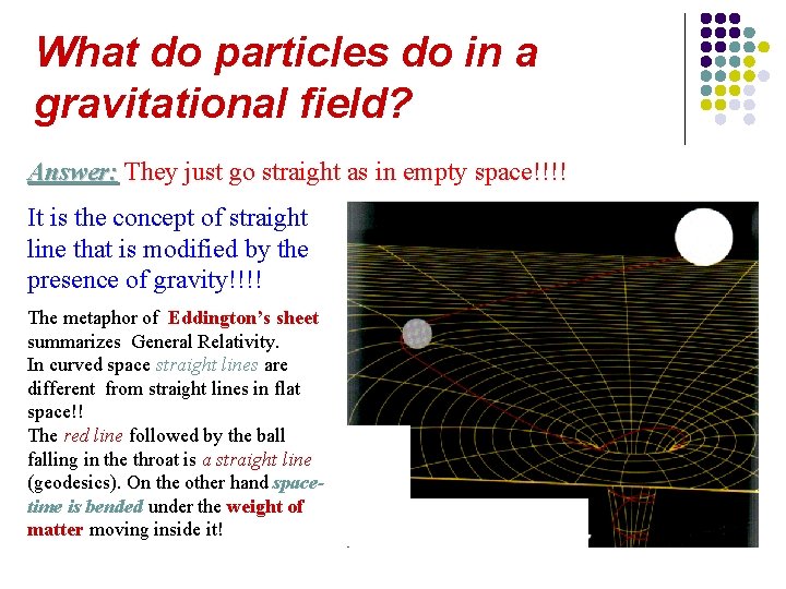 What do particles do in a gravitational field? Answer: They just go straight as