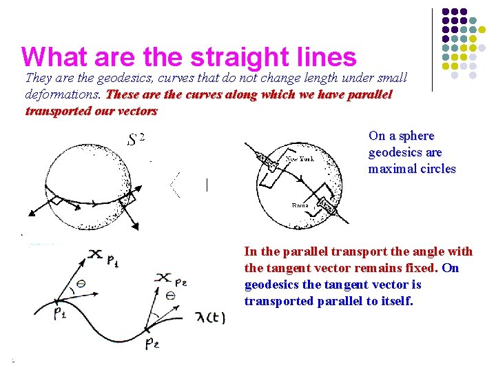 What are the straight lines They are the geodesics, curves that do not change