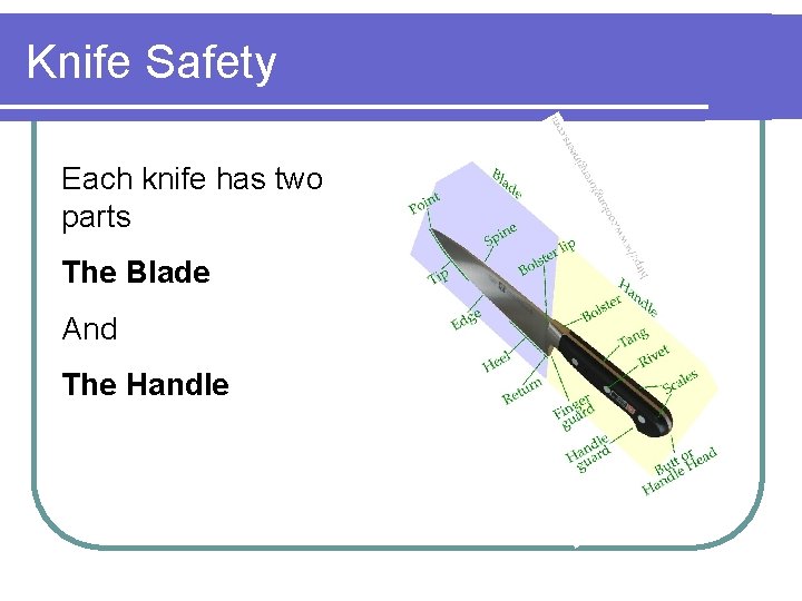 Knife Safety Each knife has two parts The Blade And The Handle 