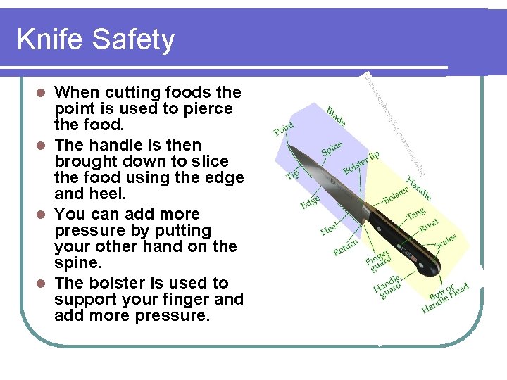 Knife Safety When cutting foods the point is used to pierce the food. l