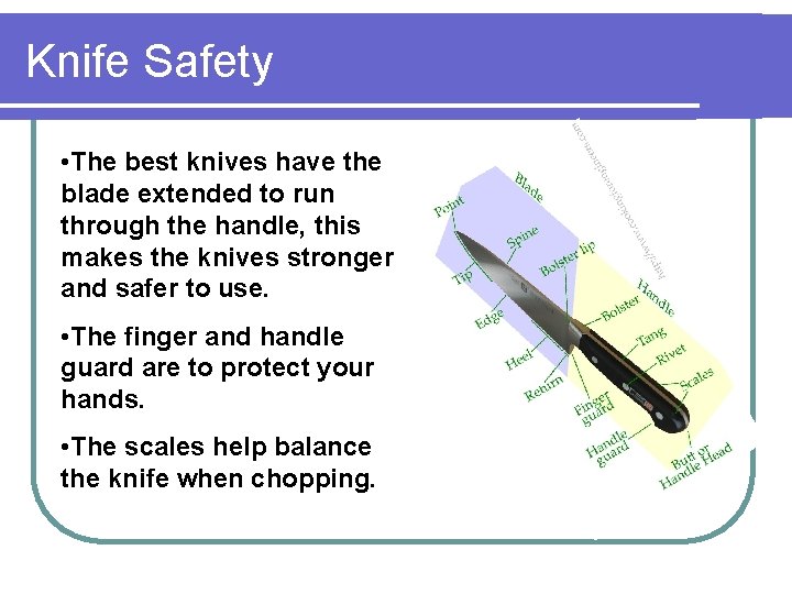 Knife Safety • The best knives have the blade extended to run through the