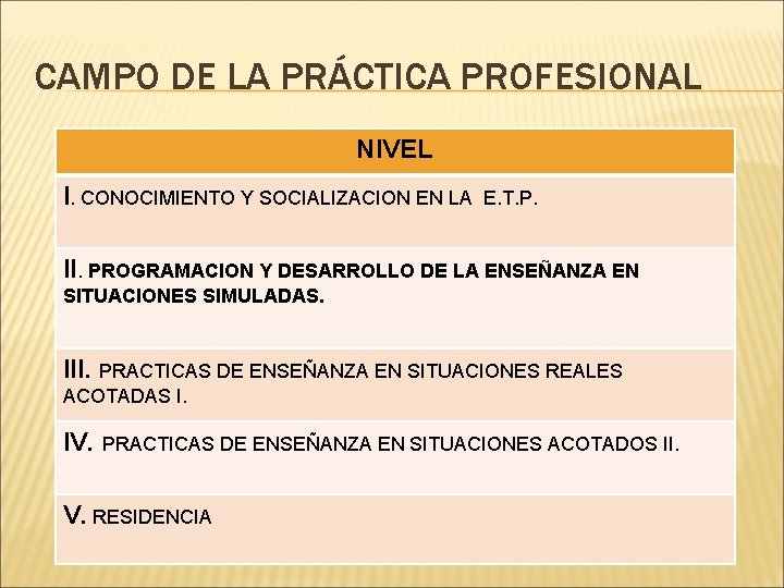 CAMPO DE LA PRÁCTICA PROFESIONAL NIVEL I. CONOCIMIENTO Y SOCIALIZACION EN LA E. T.