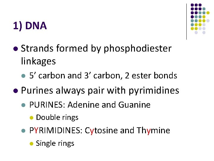 1) DNA l Strands formed by phosphodiester linkages l l 5’ carbon and 3’