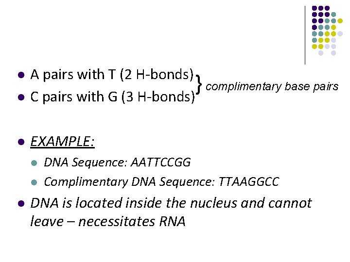 l A pairs with T (2 H-bonds) } complimentary base pairs C pairs with