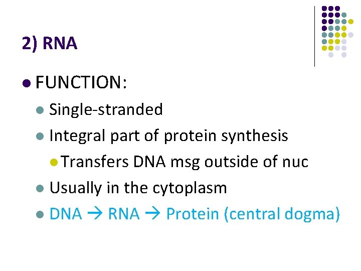 2) RNA l FUNCTION: Single-stranded l Integral part of protein synthesis l Transfers DNA