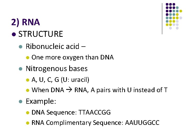 2) RNA l STRUCTURE l Ribonucleic acid – l l One more oxygen than