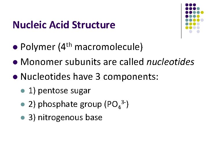 Nucleic Acid Structure Polymer (4 th macromolecule) l Monomer subunits are called nucleotides l