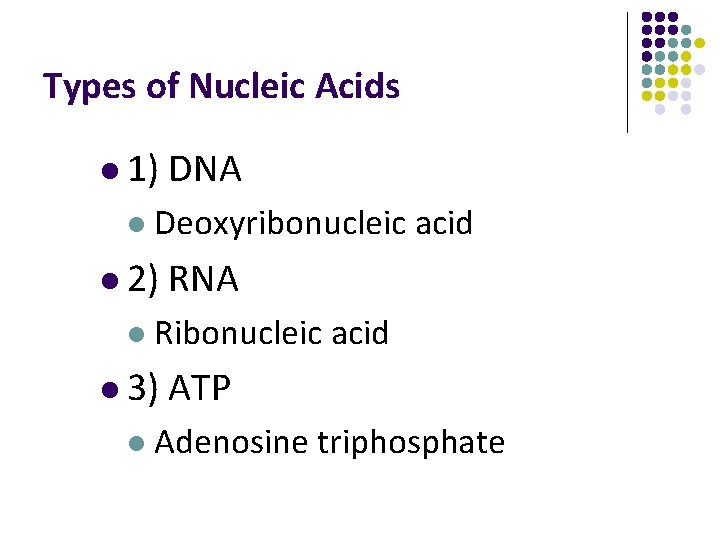 Types of Nucleic Acids l 1) l Deoxyribonucleic acid l 2) l RNA Ribonucleic