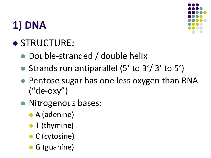 1) DNA l STRUCTURE: l l Double-stranded / double helix Strands run antiparallel (5’