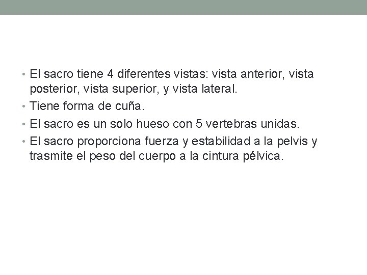  • El sacro tiene 4 diferentes vistas: vista anterior, vista posterior, vista superior,