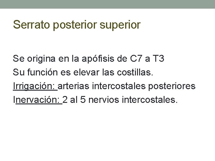 Serrato posterior superior Se origina en la apófisis de C 7 a T 3