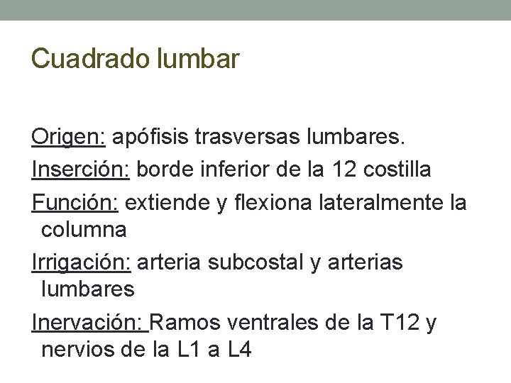 Cuadrado lumbar Origen: apófisis trasversas lumbares. Inserción: borde inferior de la 12 costilla Función: