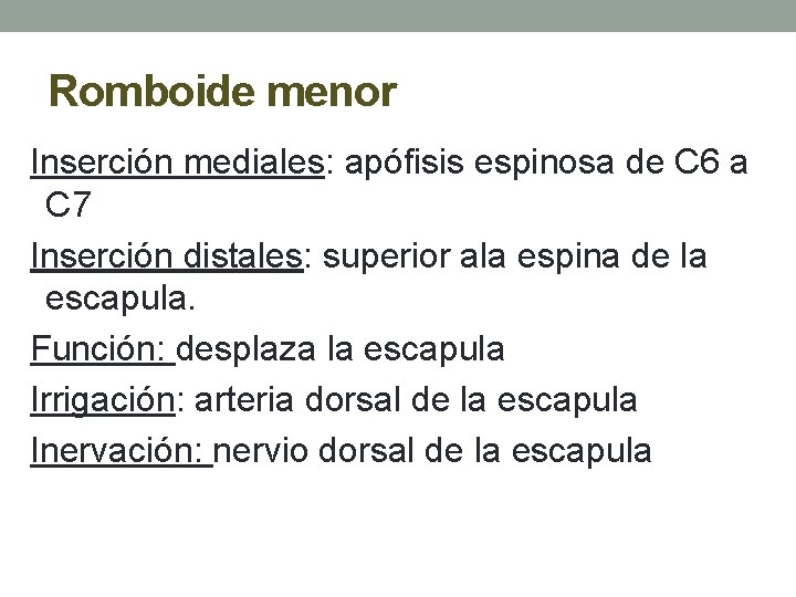 Romboide menor Inserción mediales: apófisis espinosa de C 6 a C 7 Inserción distales: