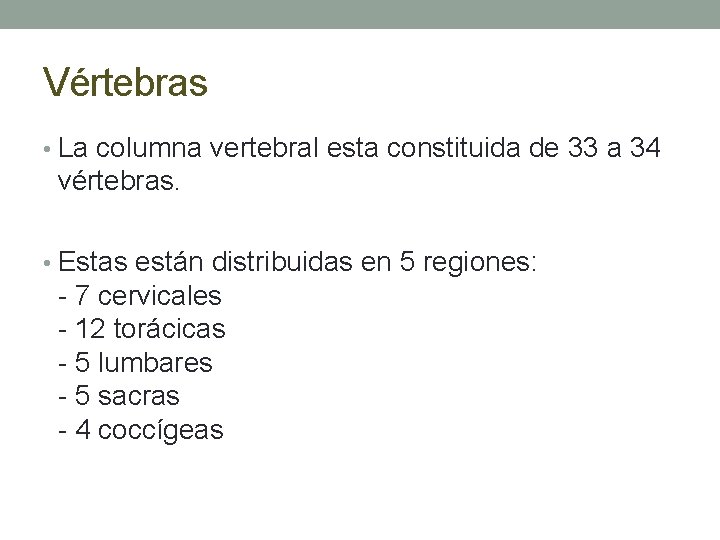 Vértebras • La columna vertebral esta constituida de 33 a 34 vértebras. • Estas