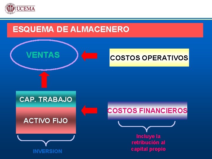 ESQUEMA DE ALMACENERO VENTAS COSTOS OPERATIVOS CAP. TRABAJO COSTOS FINANCIEROS ACTIVO FIJO INVERSION Incluye