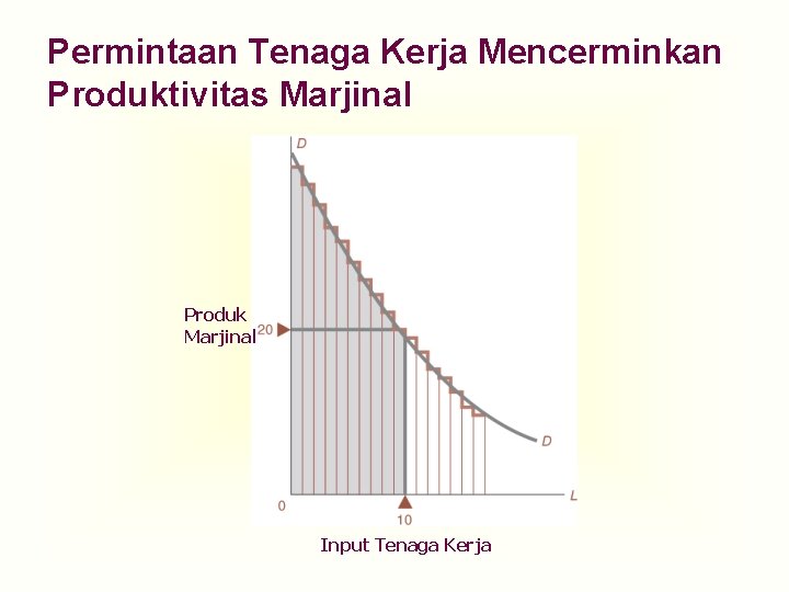 Permintaan Tenaga Kerja Mencerminkan Produktivitas Marjinal Produk Marjinal Input Tenaga Kerja 