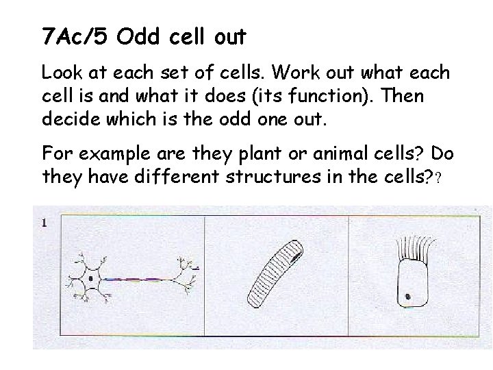 7 Ac/5 Odd cell out Look at each set of cells. Work out what