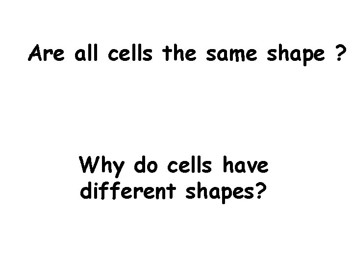 Are all cells the same shape ? Why do cells have different shapes? 