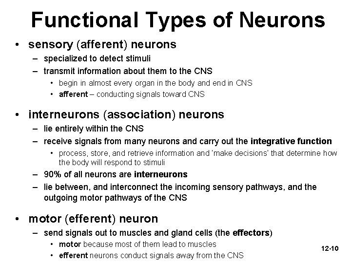 Functional Types of Neurons • sensory (afferent) neurons – specialized to detect stimuli –