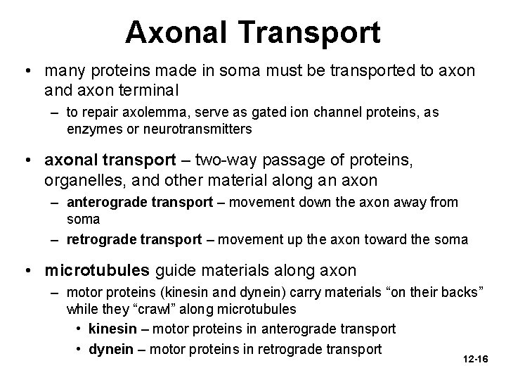 Axonal Transport • many proteins made in soma must be transported to axon and