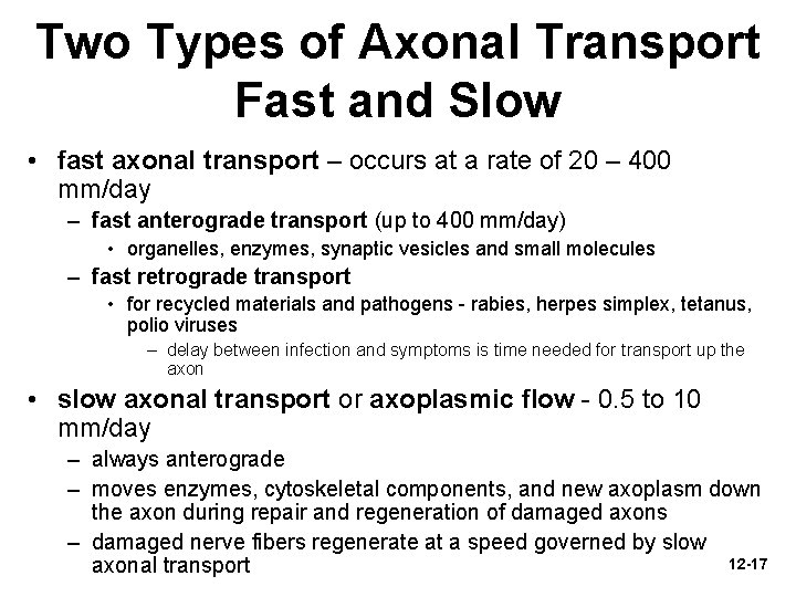 Two Types of Axonal Transport Fast and Slow • fast axonal transport – occurs