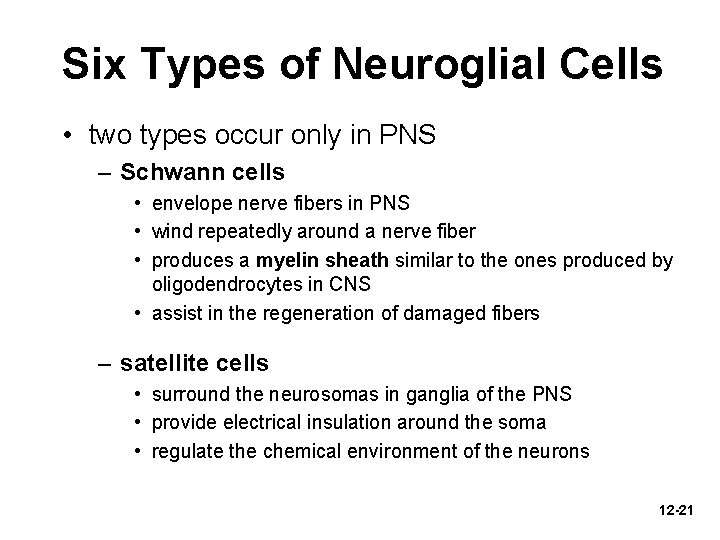 Six Types of Neuroglial Cells • two types occur only in PNS – Schwann