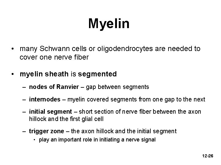 Myelin • many Schwann cells or oligodendrocytes are needed to cover one nerve fiber