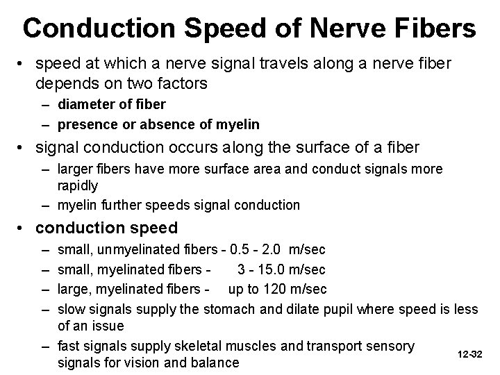 Conduction Speed of Nerve Fibers • speed at which a nerve signal travels along